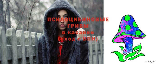 гидра Наволоки