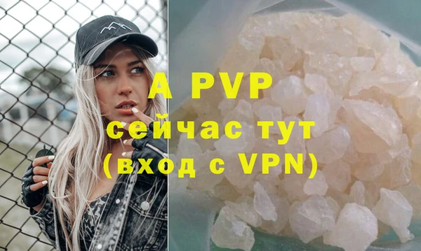 эйфоретик Михайлов