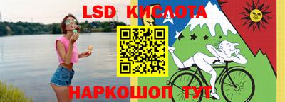 гашик Новодвинск