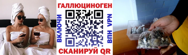наркошоп  блэк спрут зеркало  Галлюциногенные грибы Cubensis  Смоленск 