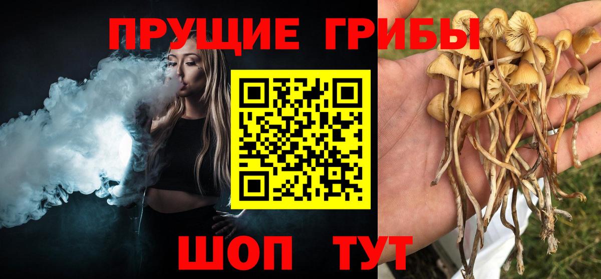 Галлюциногенные грибы ЛСД Смоленск